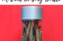 Diy Sensry Rainstick