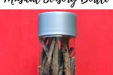 Diy Sensry Rainstick