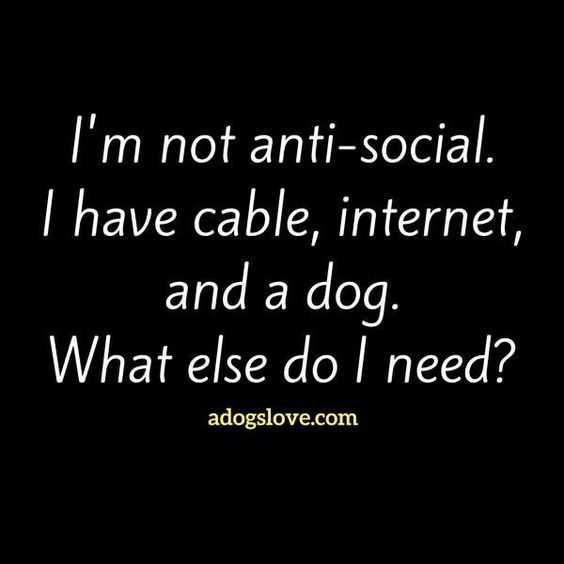 funny quotes and sayings about life  antisocial