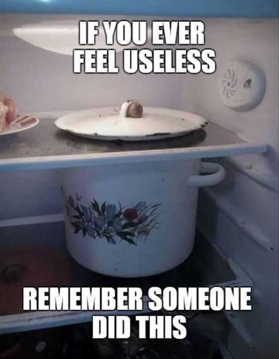 Funny Memes Pictures  fridge fails