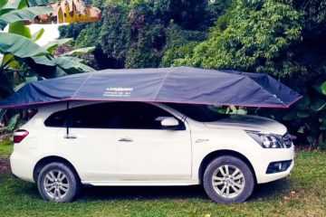 Landmodo Pro On Car 1