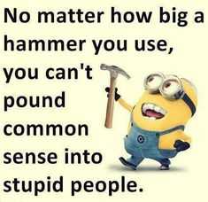 minion hammer stupid