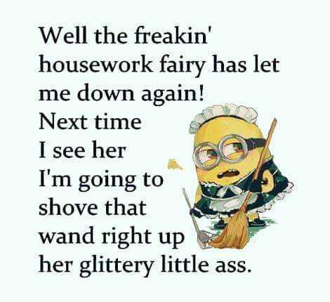 minion housework fairy