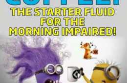 Minion Starter Fluid