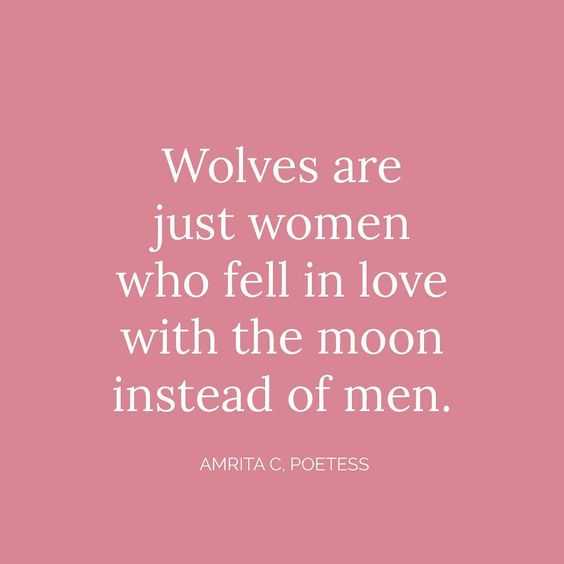 Wonderful Quotes  wolves
