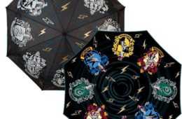 Accio Harry Potter 1