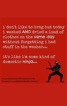 funny domestic ninja