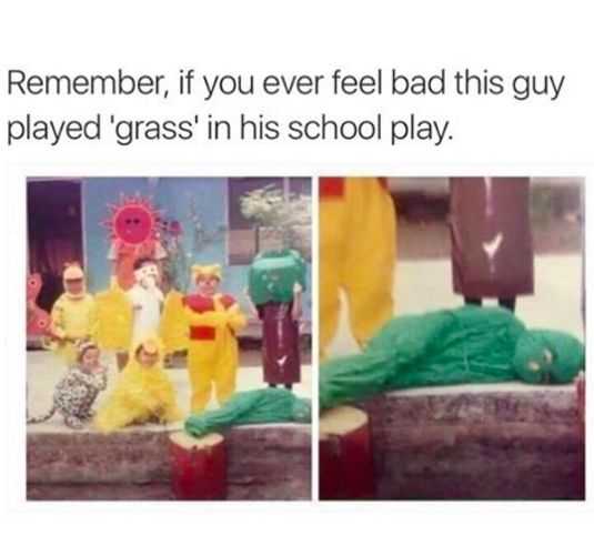 funny grass