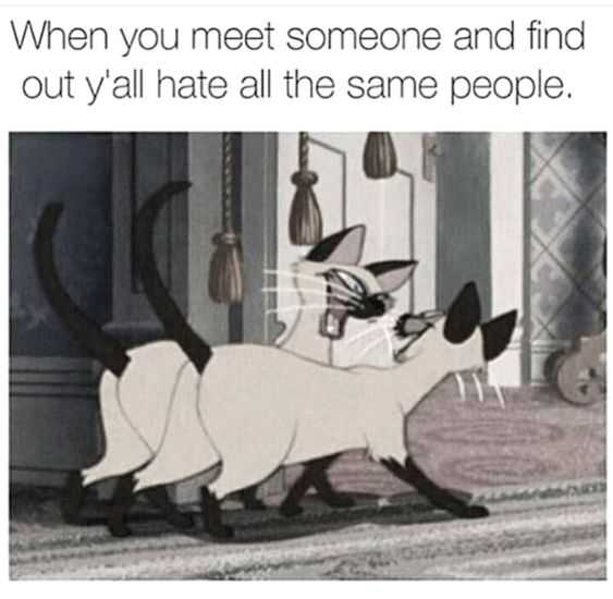 funny hate same people