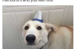Funny Nice Hat