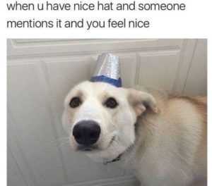 funny nice hat