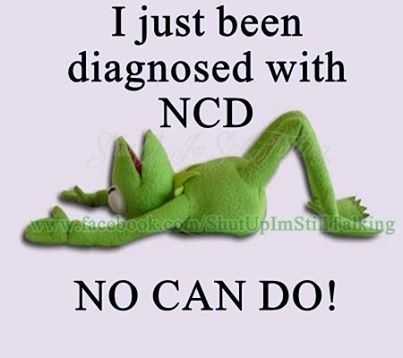 Funny No Can Do