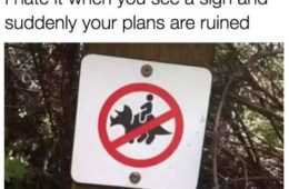 Funny Plans Ruined