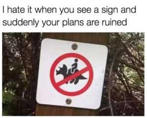 funny plans ruined