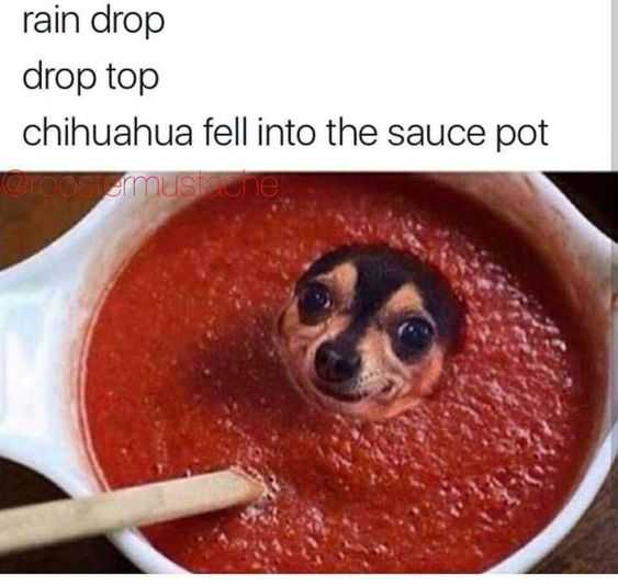 funny sauce pot