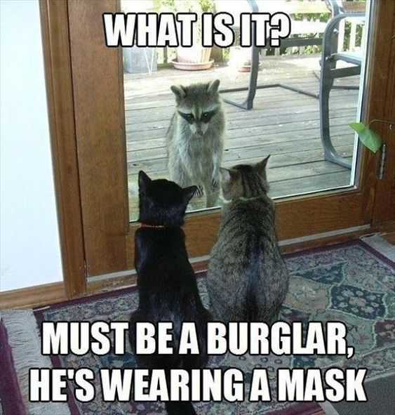 funny wearing mask