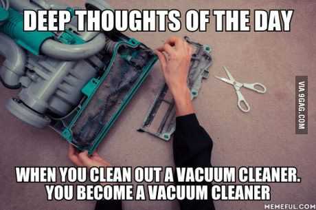 24 Funny Pictures about Spring Cleaning  deep thoughts of the day