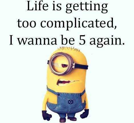 Funny Minion Images With Captions  life