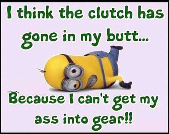funny minion pictures with sayings  clutch in butt