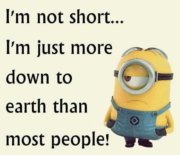 Funny Minion Images With Captions  short