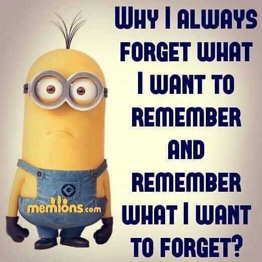 21 Funny Minion Pictures