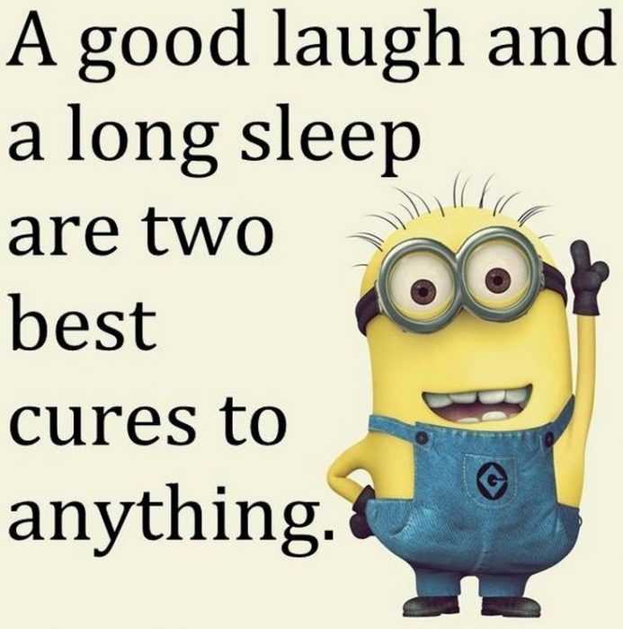 21 Great Funny Minion Quotes
