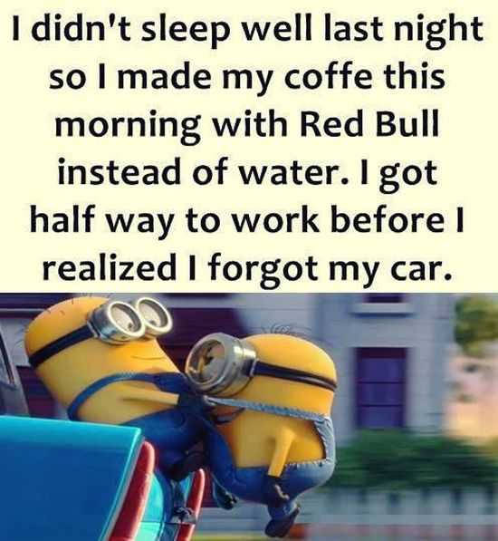 Funny Minion Images With Captions  sleep