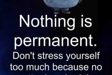 Minion Stress Change