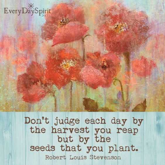 Quote Dont Judge