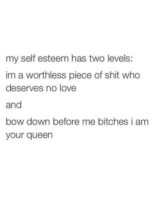Funny Bow Down 1
