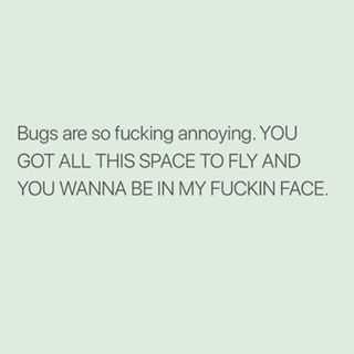 Funny Bugs Space