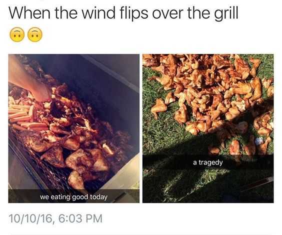 21 Funny Memes and Pictures for You | funny chicken flipped 21 Funny Memes and Pictures for You