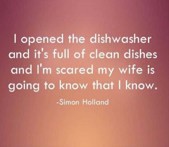 funny dishwasher wife