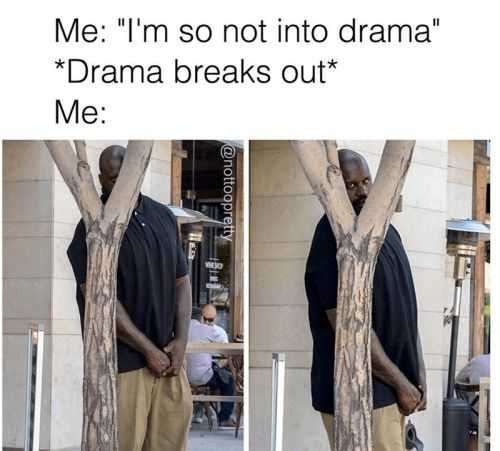 21 Funny Memes and Pictures for You | funny drama breaks out 21 Funny Memes and Pictures for You