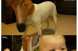 Funny Earliest Memory
