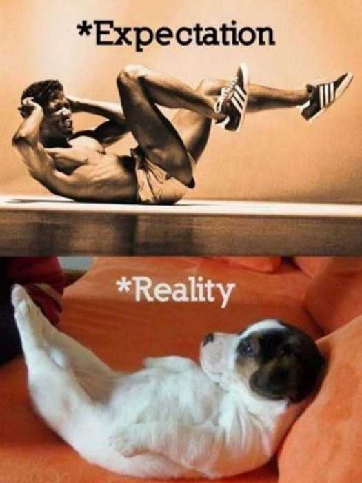 24 Hilarious Fitness Memes for Recuperating after Leg Day