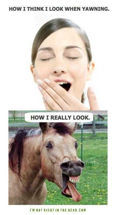 Funny Look Yawn
