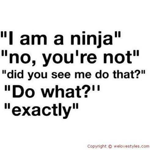 funny ninja
