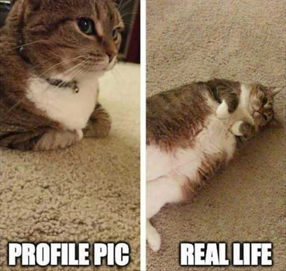 Funny Profile Pic