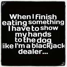 Funny Show Dog