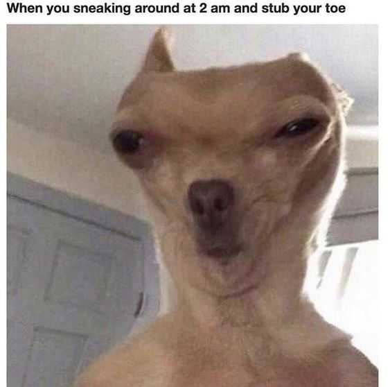 21 Funny Memes and Pictures for You | funny sneaking 2 am 21 Funny Memes and Pictures for You