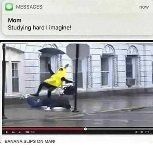 21 Funny Memes and Pictures for You | funny studying hard 21 Funny Memes and Pictures for You