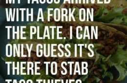 Funny Taco Thieves
