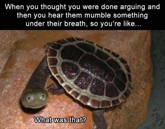 Funny What Was That