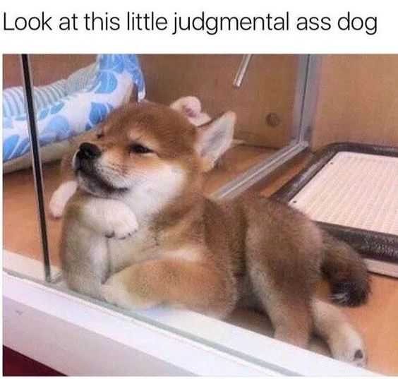 Meme 70