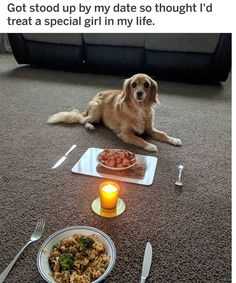 Meme Dog Date