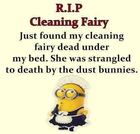 minion cleaning fairy