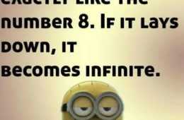 Minion Infinite
