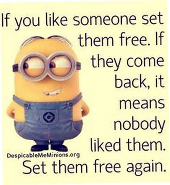 29 Minion Quotes For You