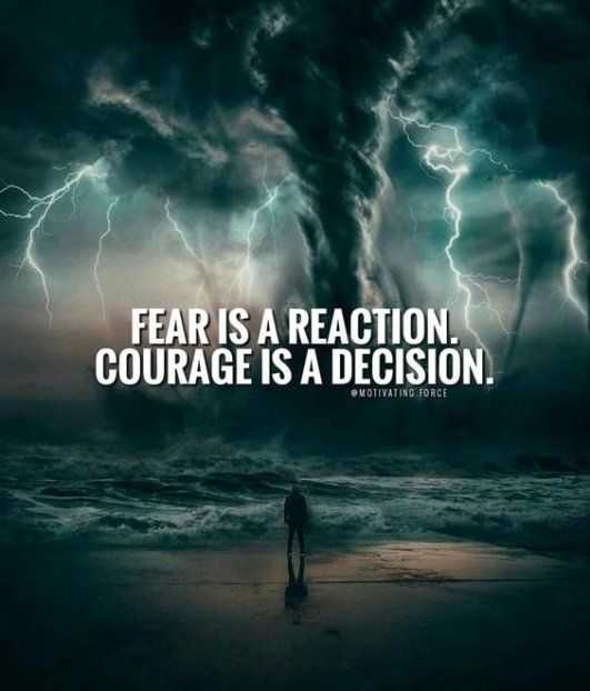 quote fear is reaction